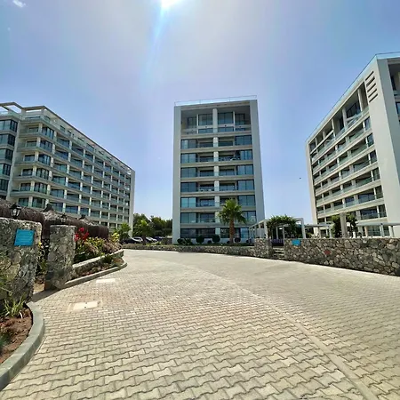 Apartment Aphrodite Beachfront